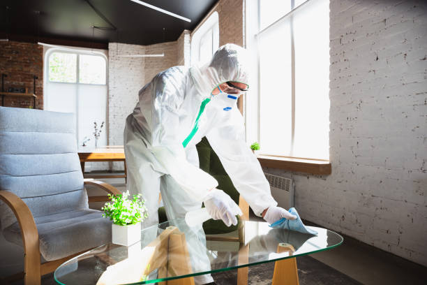 Mold Remediation for Vacation Homes